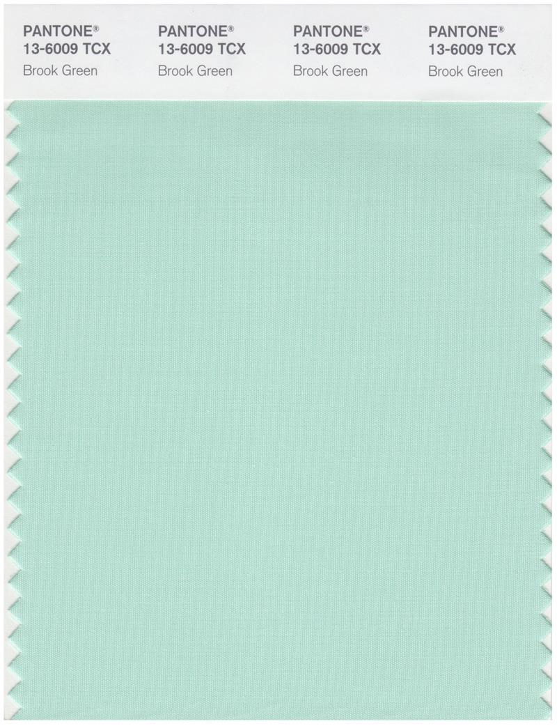 Pantone Smart 13-6009 TCX Color Swatch Card | Brook Green 