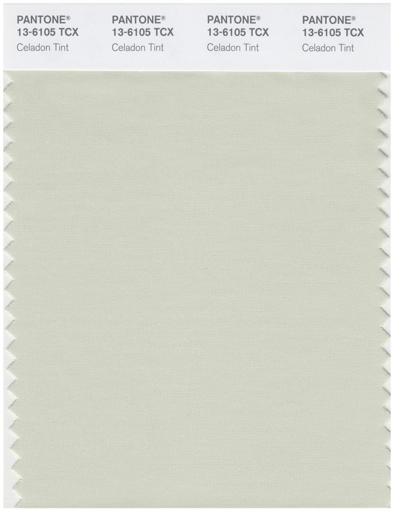 Pantone Smart 13-6105 TCX Color Swatch Card | Celadon Tint 