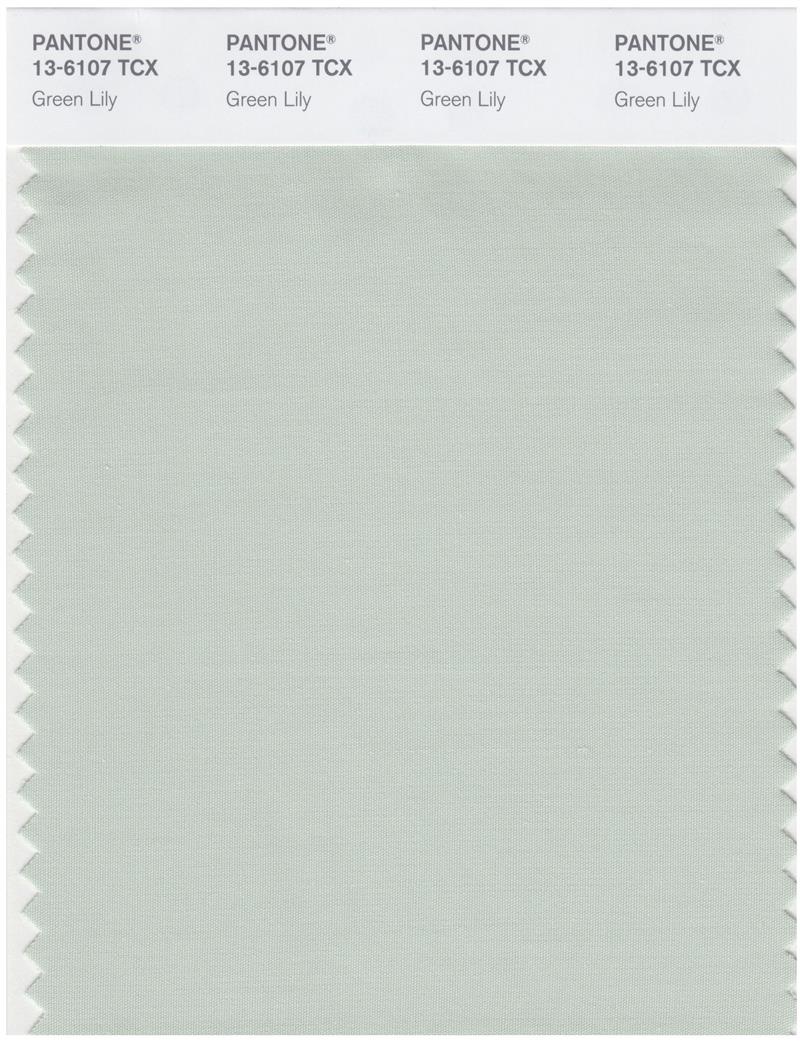 Pantone Smart 13-6107 TCX Color Swatch Card | Green Lily 