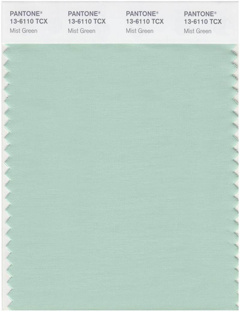 Pantone Smart 13-6110 TCX Color Swatch Card | Mist Green 