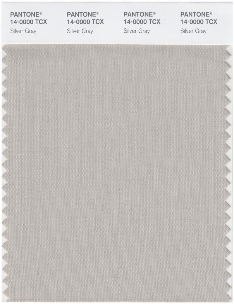 Pantone Smart 14-0000 TCX Color Swatch Card | Silver Gray 