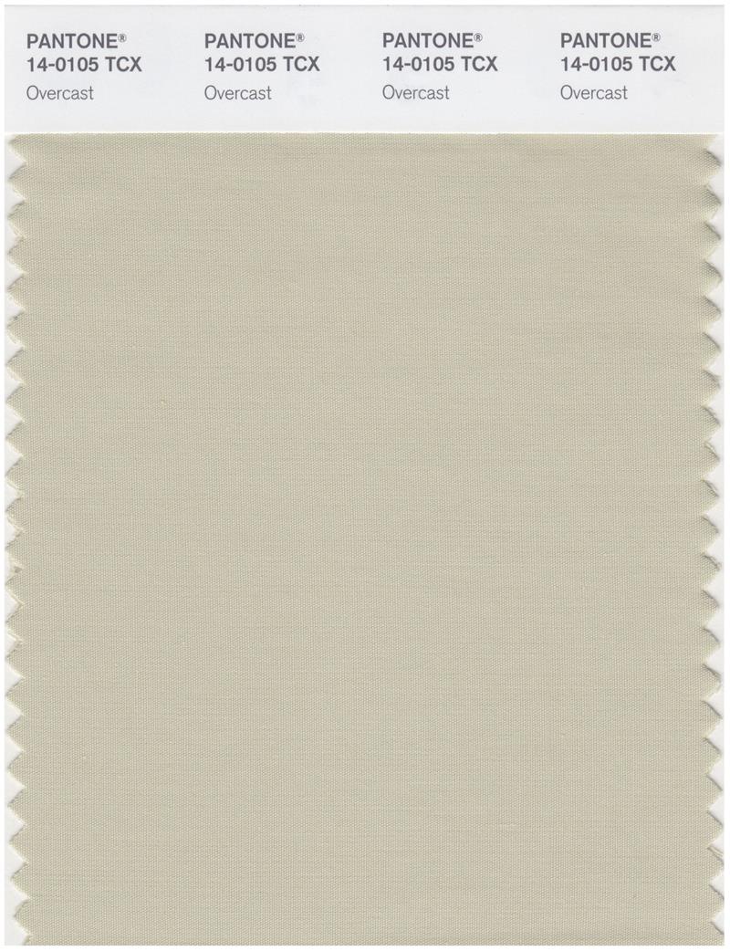 Pantone Smart 14-0105 TCX Color Swatch Card | Overcast 