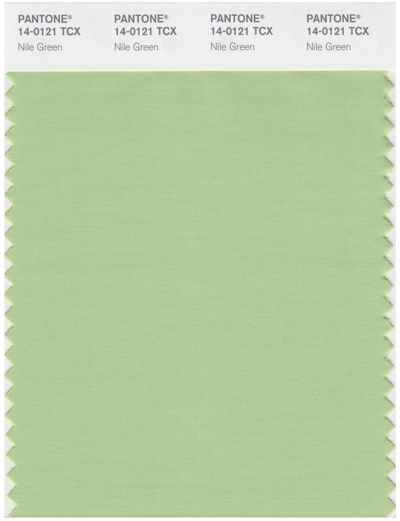 Pantone Smart 14-0121 TCX Color Swatch Card | Nile Green 