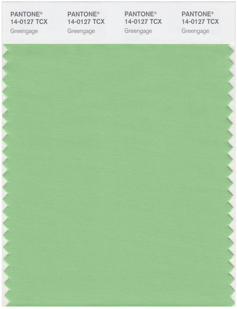 Pantone Smart 14-0127 TCX Color Swatch Card | Greengage 