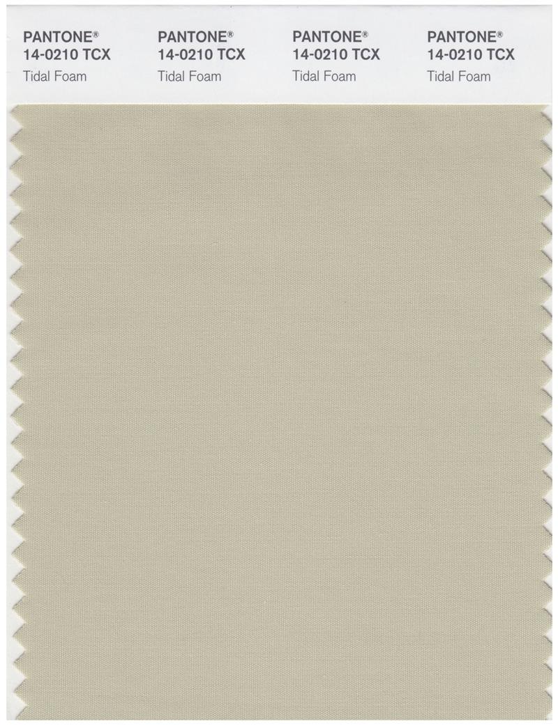 Pantone Smart 14-0210 TCX Color Swatch Card | Tidal Foam 