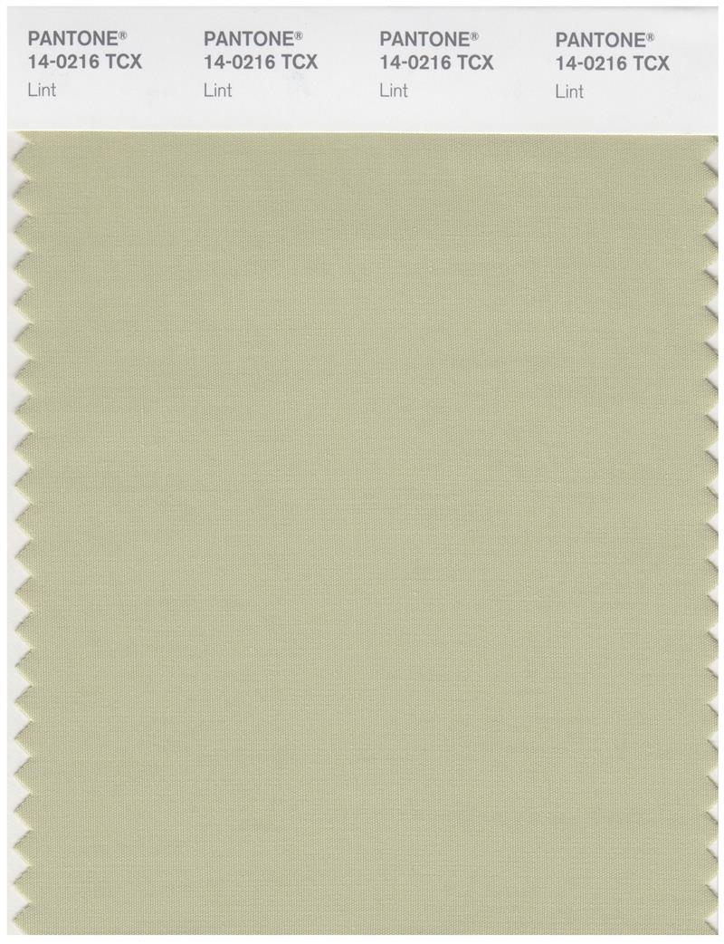 Pantone Smart 14-0216 TCX Color Swatch Card | Lint 