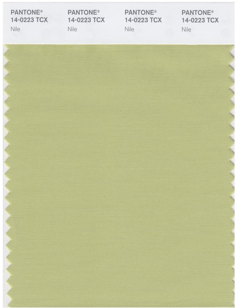 Pantone Smart 14-0223 TCX Color Swatch Card | Nile 