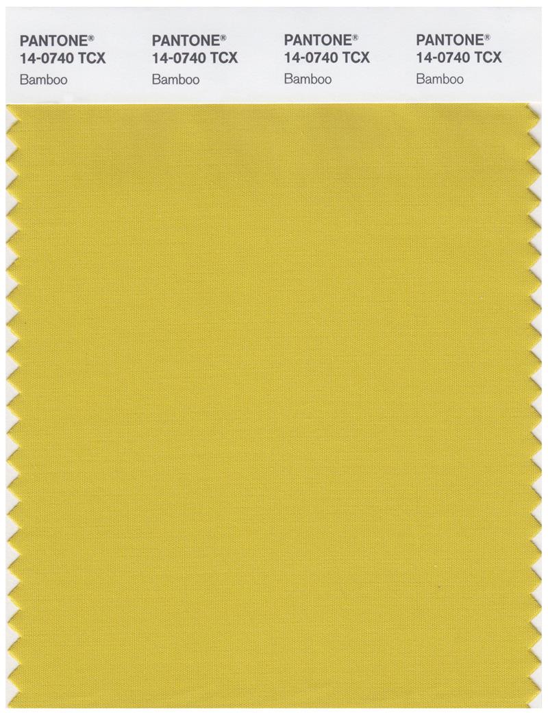 Pantone Smart 14-0740 TCX Color Swatch Card | Bamboo 