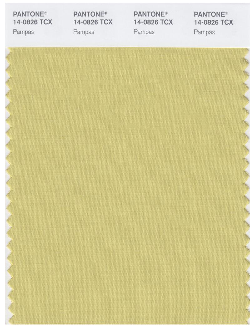 Pantone Smart 14-0826 TCX Color Swatch Card | Pampas 