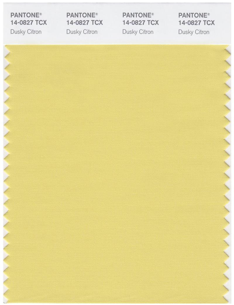 Pantone Smart 14-0827 TCX Color Swatch Card | Dusky Citron 