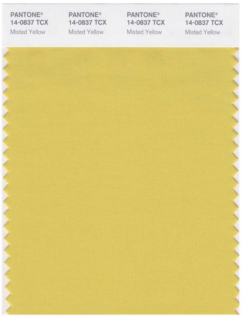 Pantone Smart 14-0837 TCX Color Swatch Card | Misted Yellow 