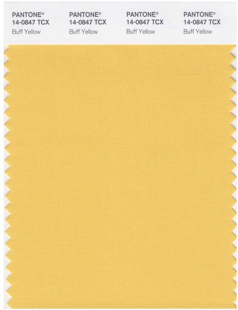 Pantone Smart 14-0847 TCX Color Swatch Card | Buff Yellow 