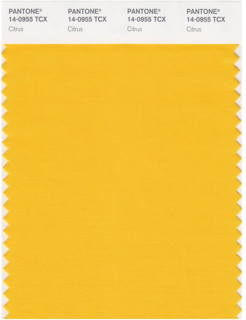 Pantone Smart 14-0955 TCX Color Swatch Card | Citrus 