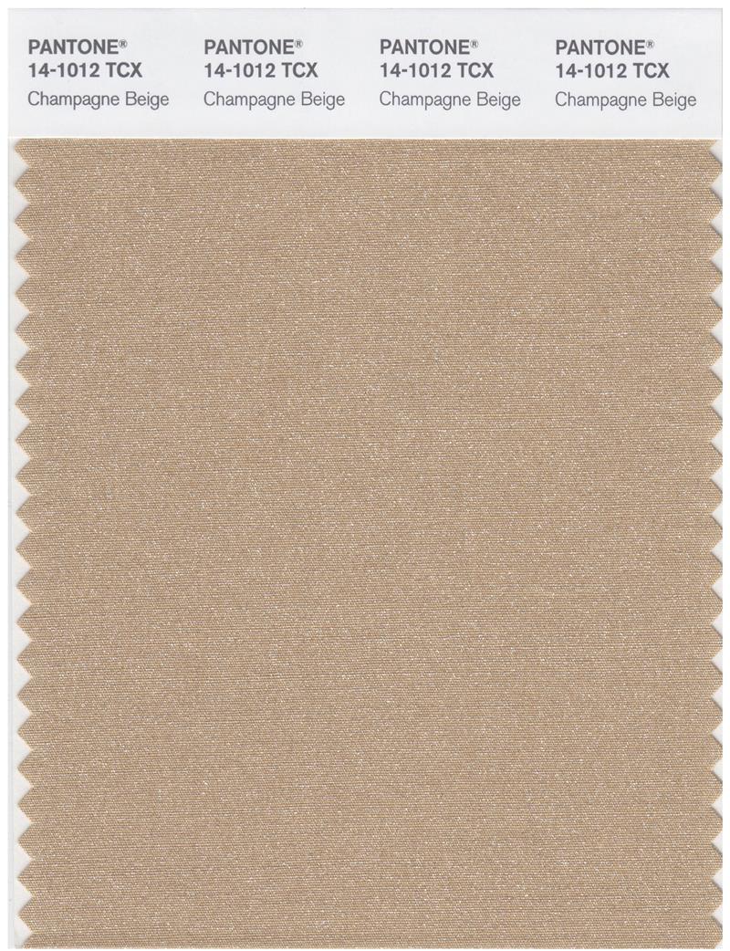 Pantone Smart 14-1012 TCX Color Swatch Card | Champagne Beige 