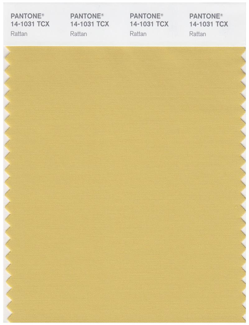 Pantone Smart 14-1031 TCX Color Swatch Card | Rattan 