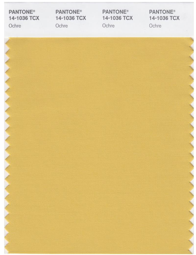 Pantone Smart 14-1036 TCX Color Swatch Card | Ochre 