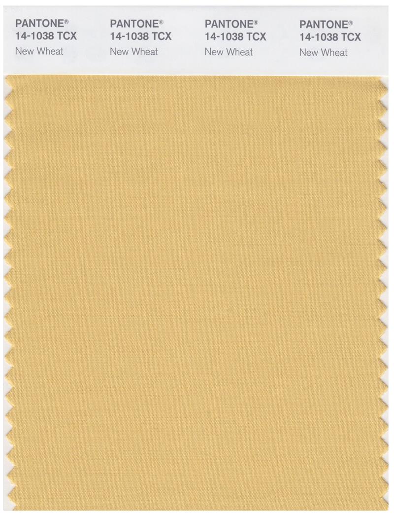 Pantone Smart 14-1038 TCX Color Swatch Card | New Wheat 