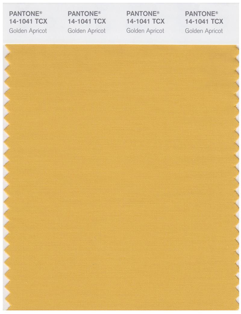 Pantone Smart 14-1041 TCX Color Swatch Card | Golden Apricot 