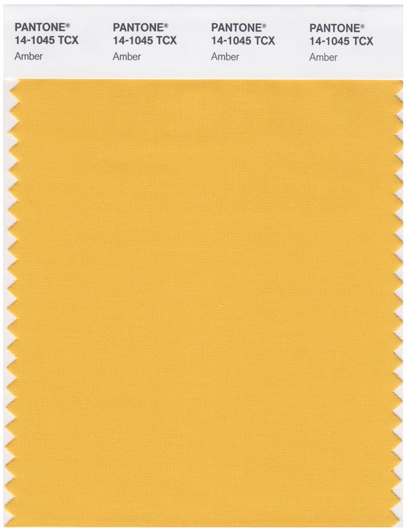 Pantone Smart 14-1045 TCX Color Swatch Card | Amber 