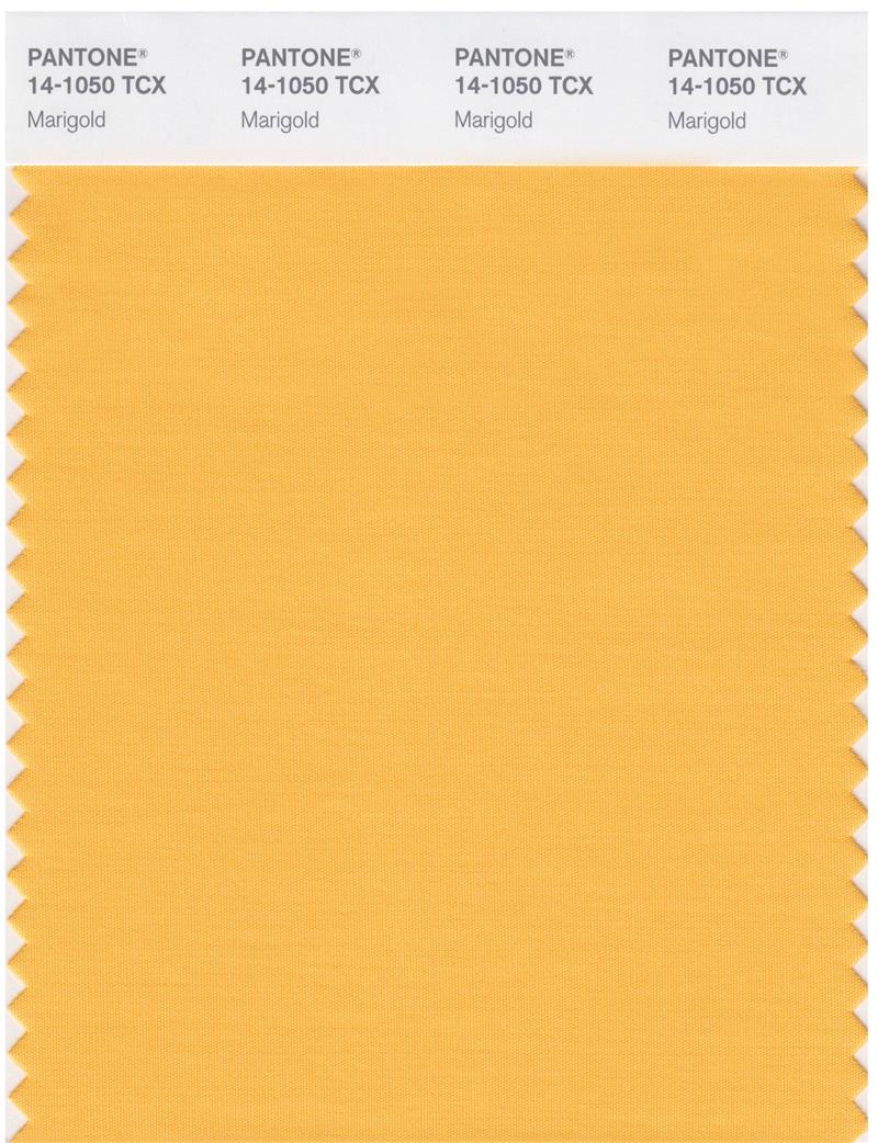 Pantone Smart 14-1050 TCX Color Swatch Card | Marigold 