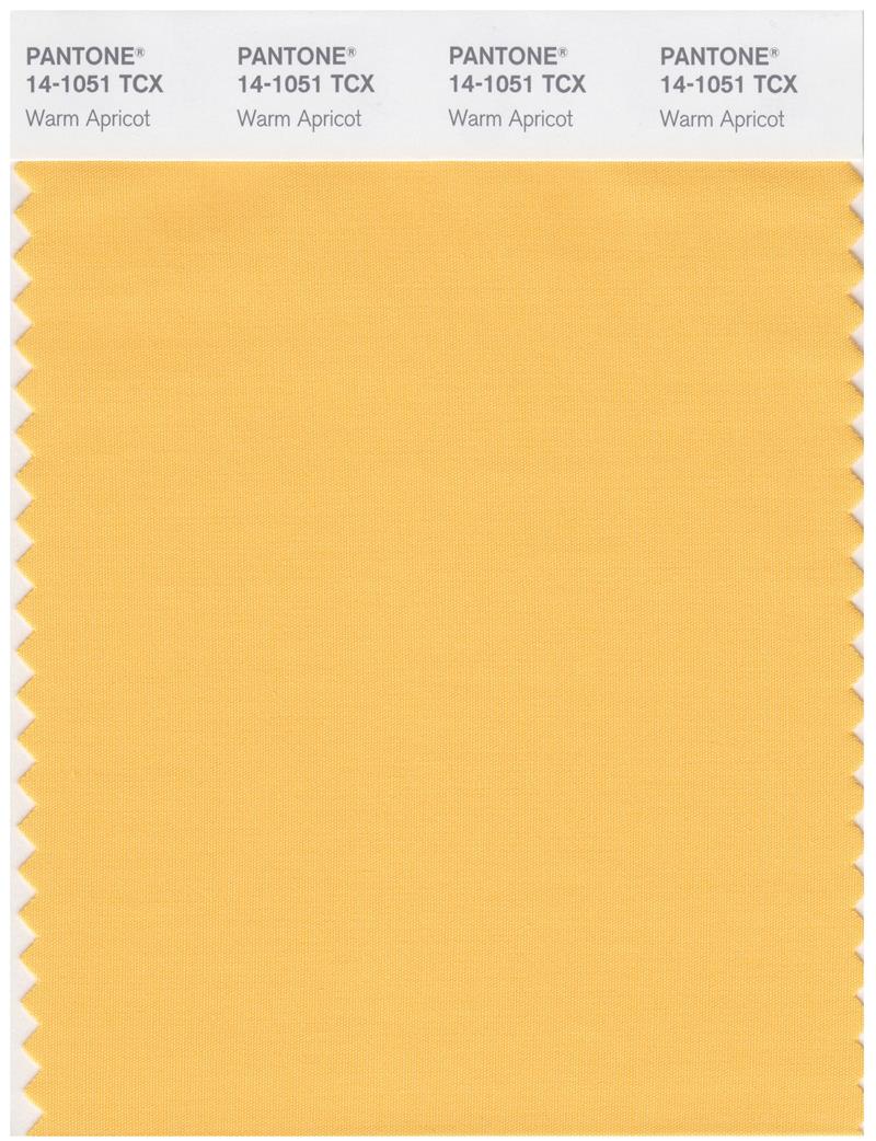 Pantone Smart 14-1051 TCX Color Swatch Card | Warm Apricot 