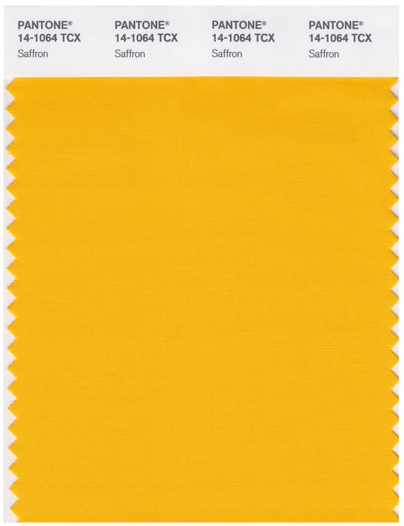 Pantone Smart 14-1064 TCX Color Swatch Card | Saffron 