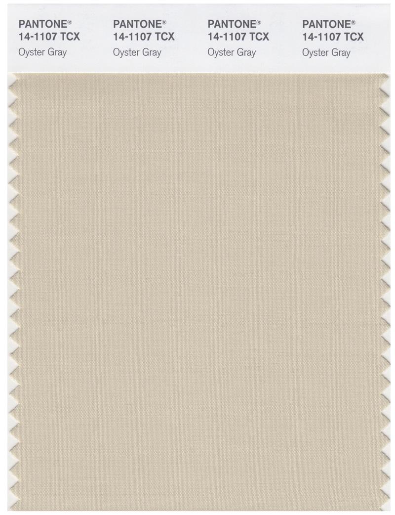 Pantone Smart 14-1107 TCX Color Swatch Card | Oyster Gray 