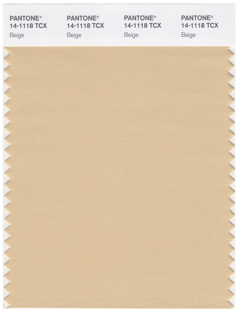 Pantone Smart 14-1118 TCX Color Swatch Card | Beige 