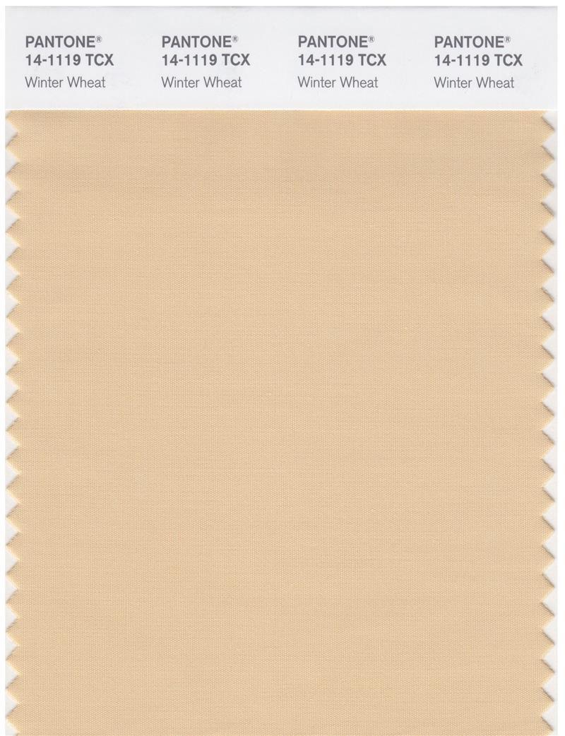 Pantone Smart 14-1119 TCX Color Swatch Card | Winter Wheat 