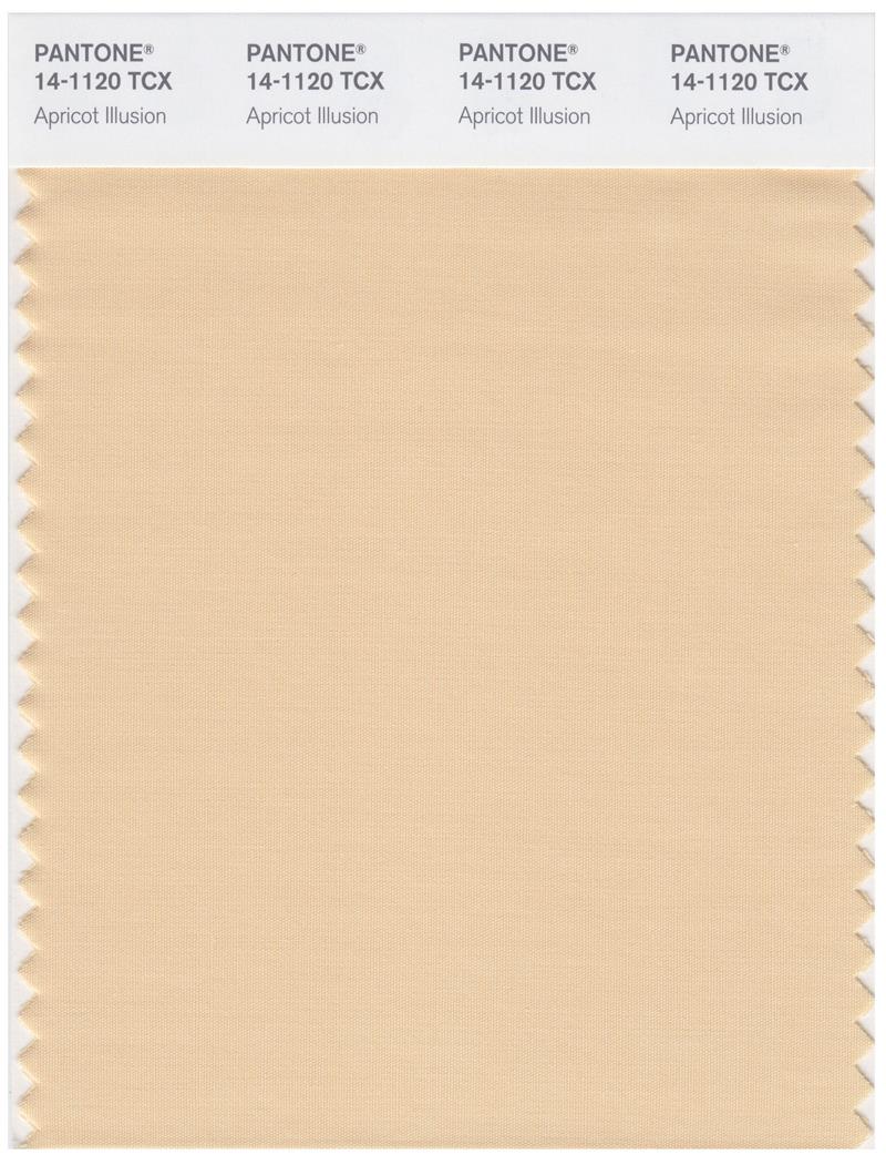 Pantone Smart 14-1120 TCX Color Swatch Card | Apricot Illusion 