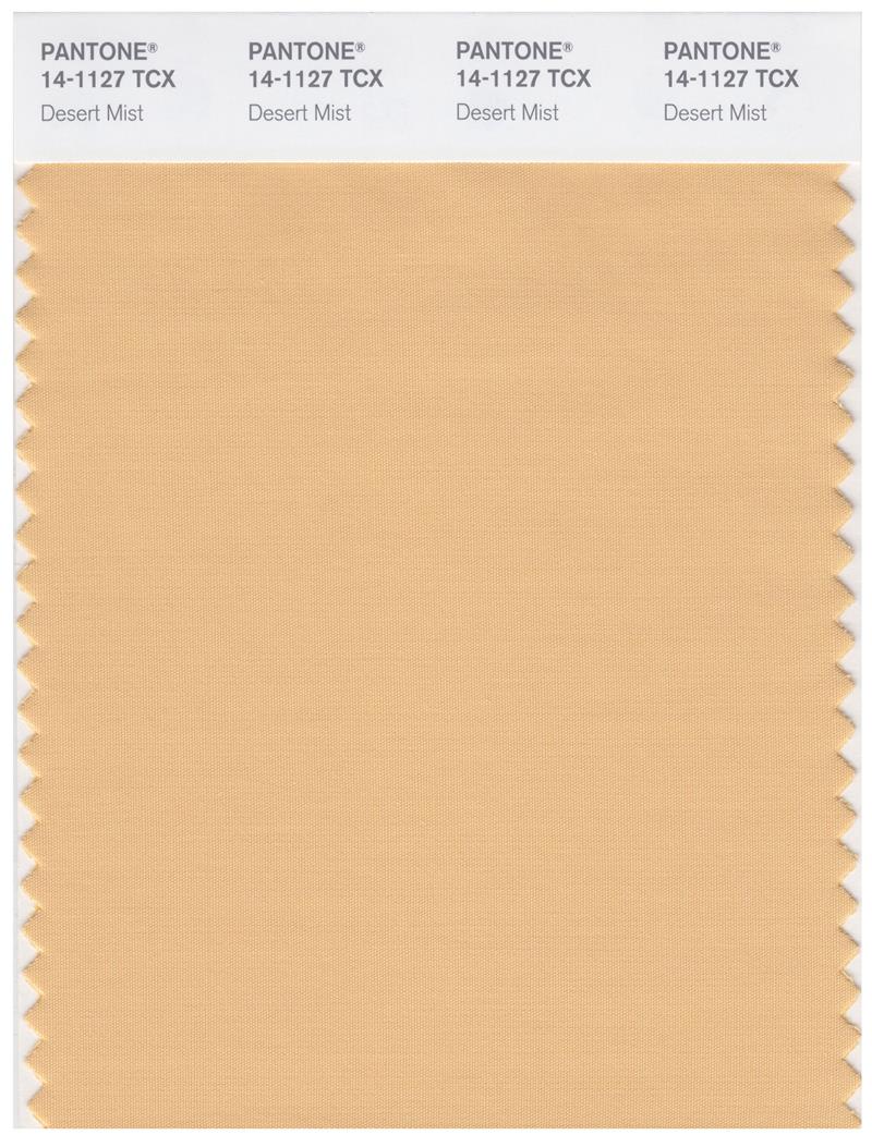 Pantone Smart 14-1127 TCX Color Swatch Card | Desert Mist 