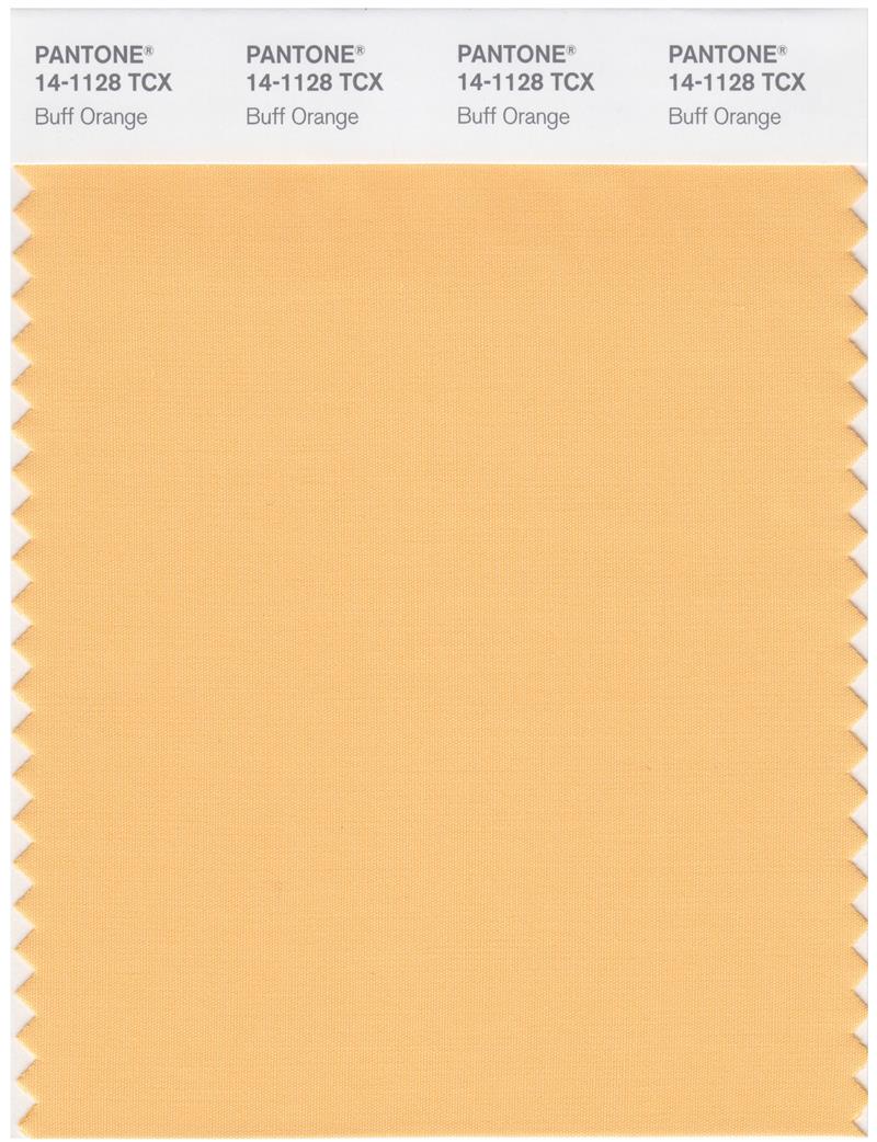 Pantone Smart 14-1128 TCX Color Swatch Card | Buff Orange 