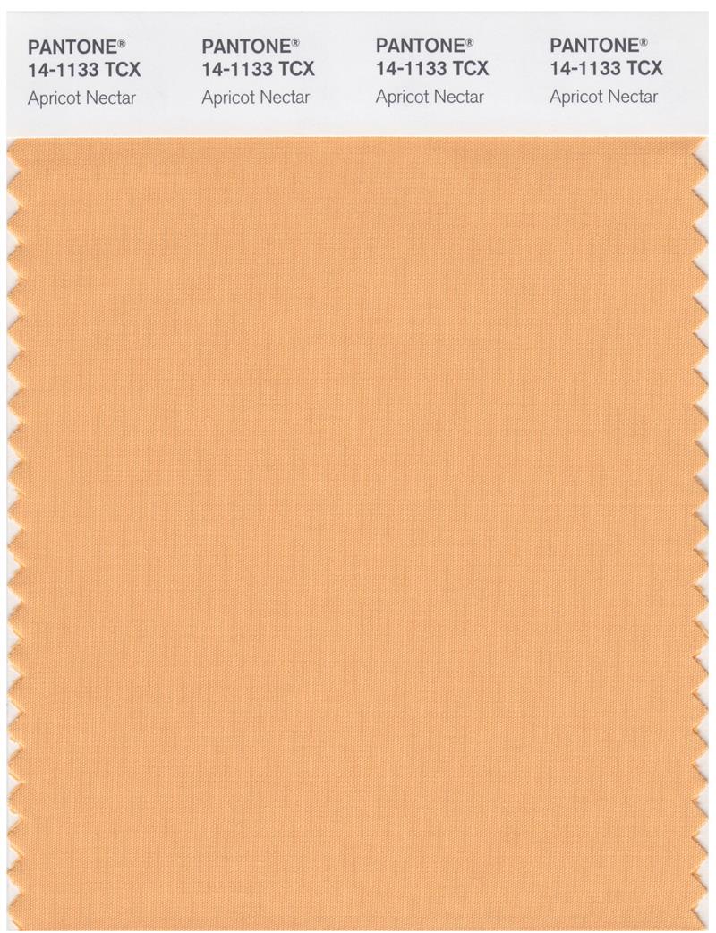 Pantone Smart 14-1133 TCX Color Swatch Card | Apricot Nectar 