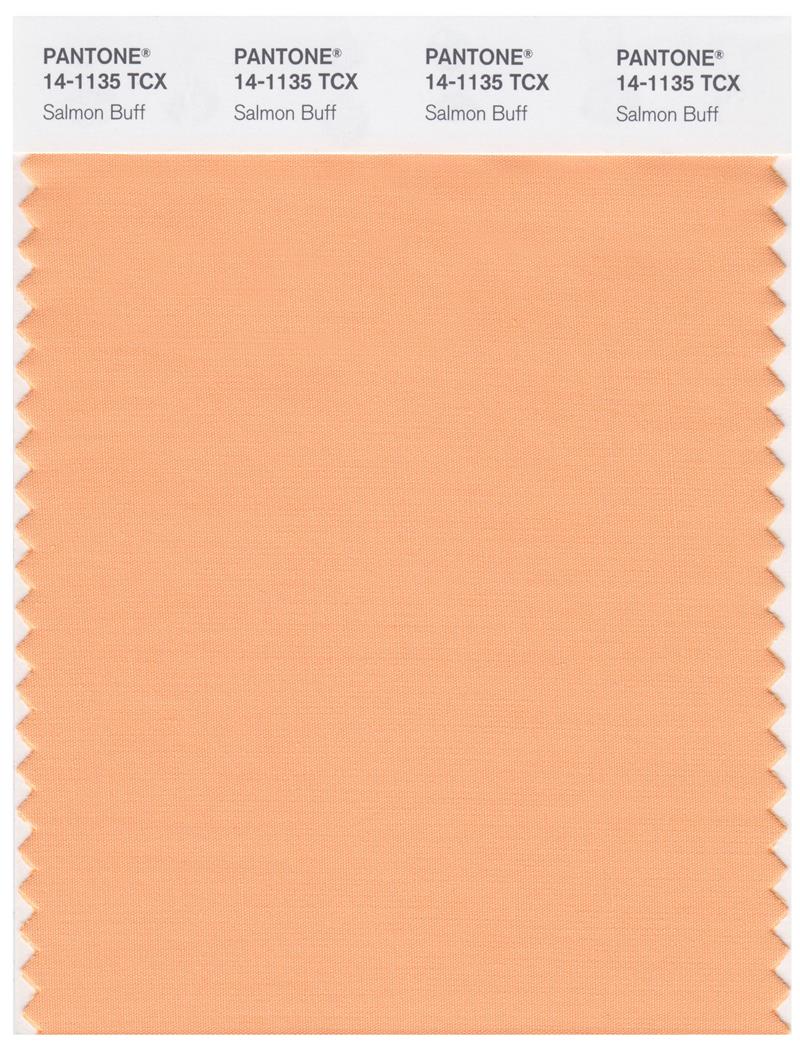 Pantone Smart 14-1135 TCX Color Swatch Card | Salmon Buff 