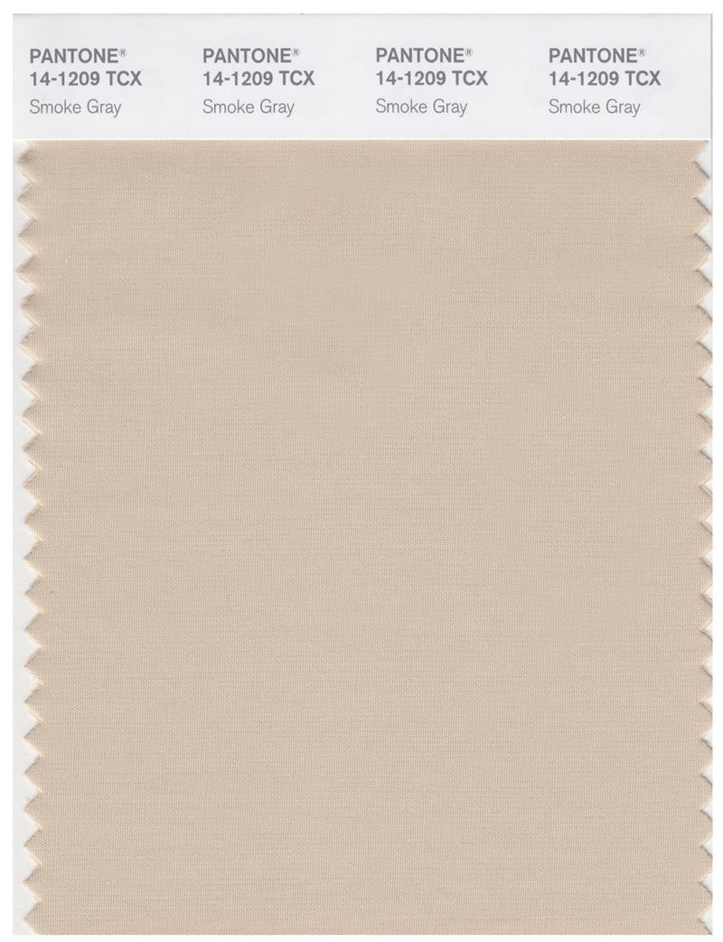 Pantone Smart 14-1209 TCX Color Swatch Card | Smoke Gray 