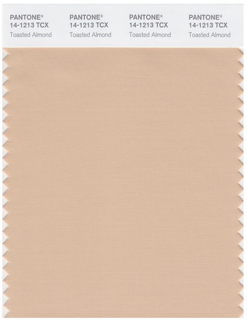 Pantone Smart 14-1213 TCX Color Swatch Card | Toasted Almond 