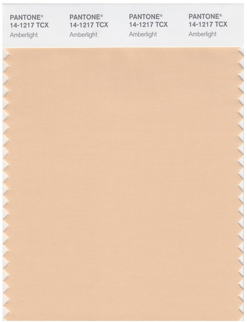 Pantone Smart 14-1217 TCX Color Swatch Card | Amberlight 