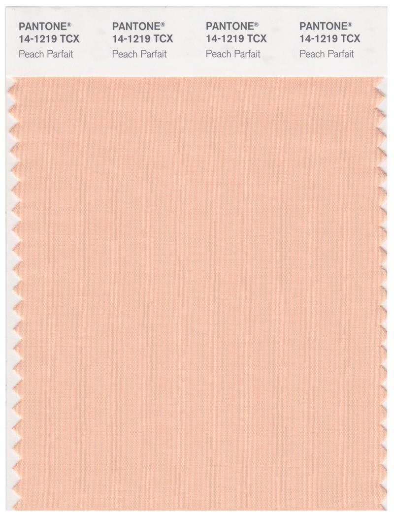 Pantone Smart 14-1219 TCX Color Swatch Card | Peach Parfait 