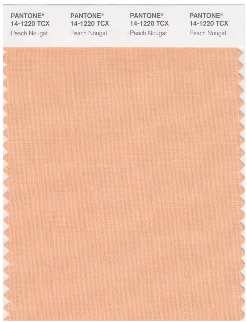 Pantone Smart 14-1220 TCX Color Swatch Card | Peach Nougat 