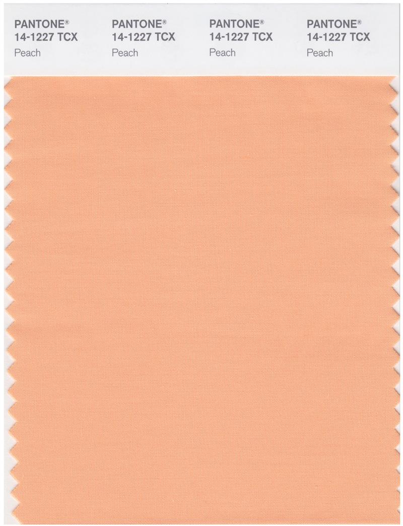 Pantone Smart 14-1227 TCX Color Swatch Card | Peach 