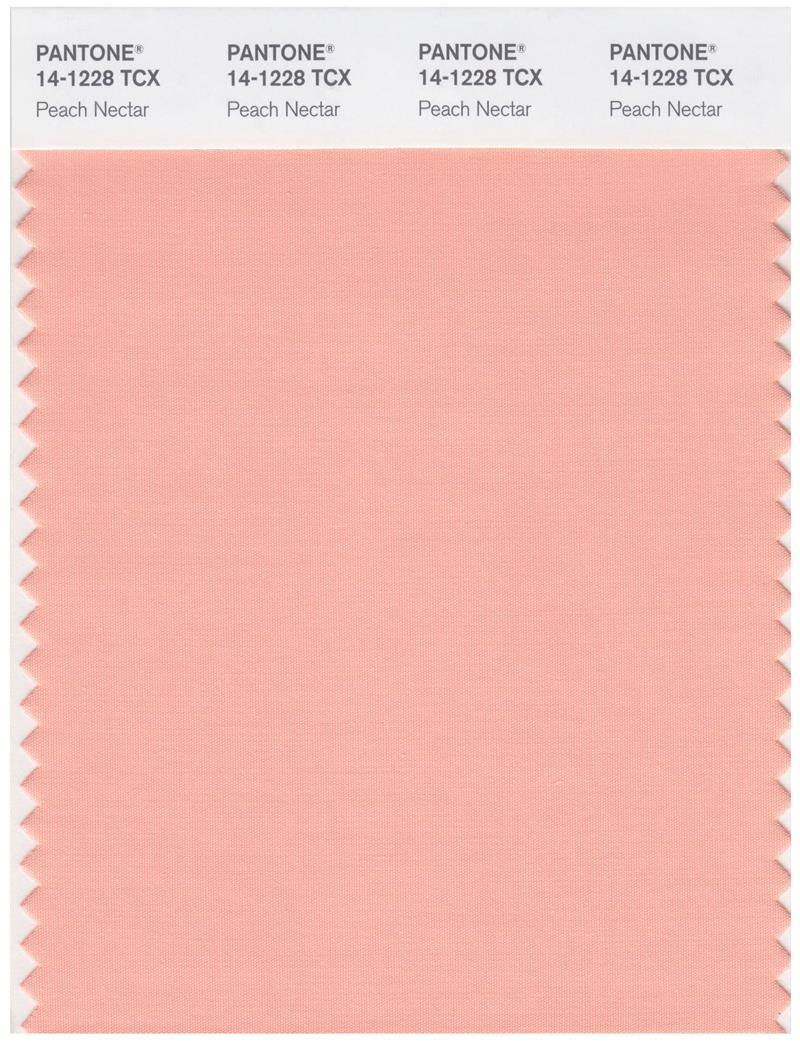 Pantone Smart 14-1228 TCX Color Swatch Card | Peach Nectar 