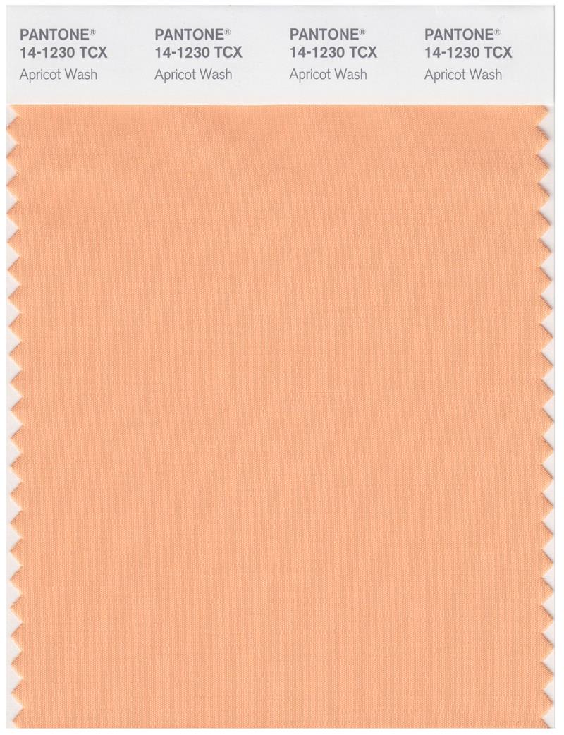 Pantone Smart 14-1230 TCX Color Swatch Card | Apricot Wash 