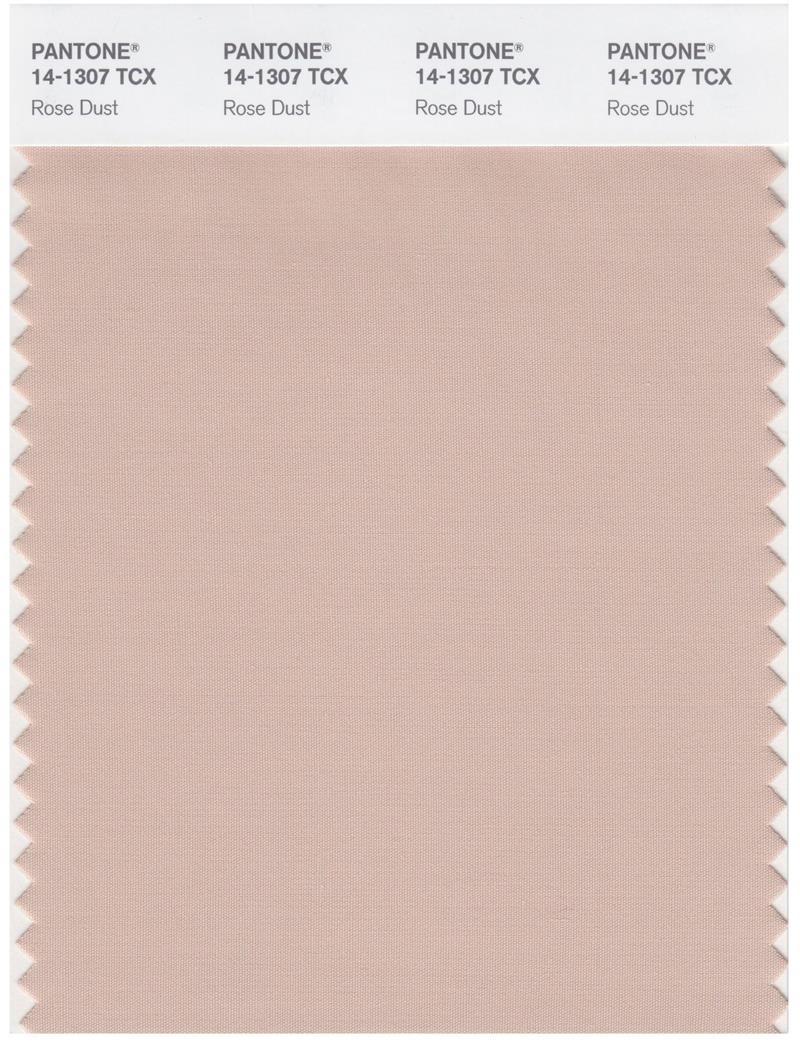 Pantone Smart 14-1307 TCX Color Swatch Card | Rose Dust 