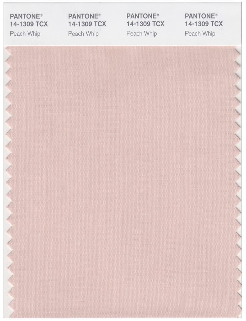 Pantone Smart 14-1309 TCX Color Swatch Card | Peach Whip 