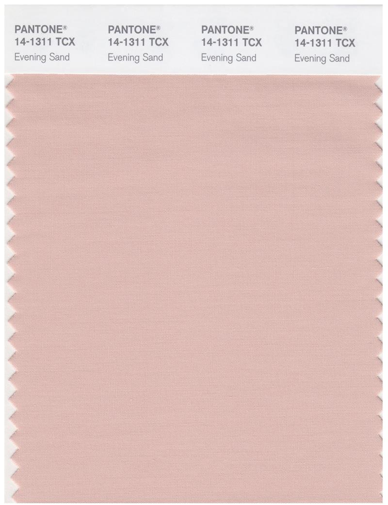 Pantone Smart 14-1311 TCX Color Swatch Card | Evening Sand 