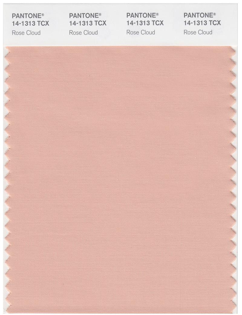 Pantone Smart 14-1313 TCX Color Swatch Card | Rose Cloud 