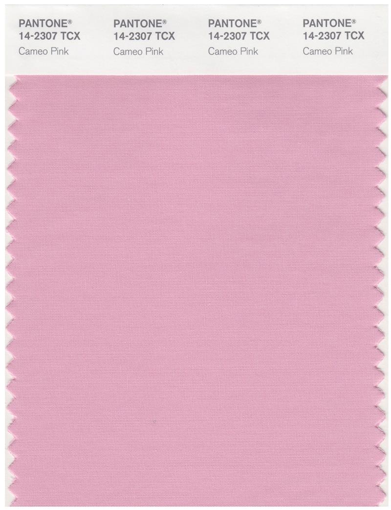 Pantone Smart 14-2307 TCX Color Swatch Card | Cameo Pink 