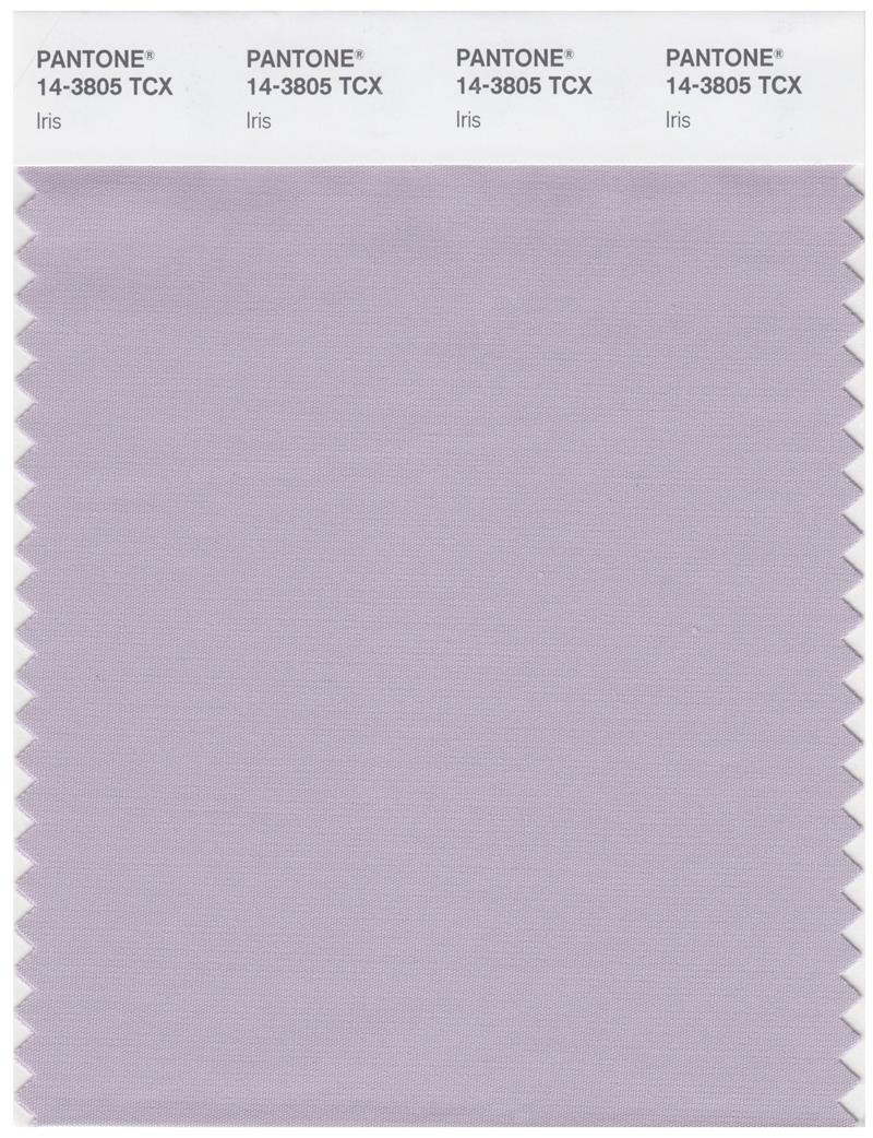 Pantone Smart 14-3805 TCX Color Swatch Card | Iris 