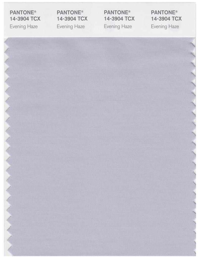 Pantone Smart 14-3904 TCX Color Swatch Card | Evening Haze 