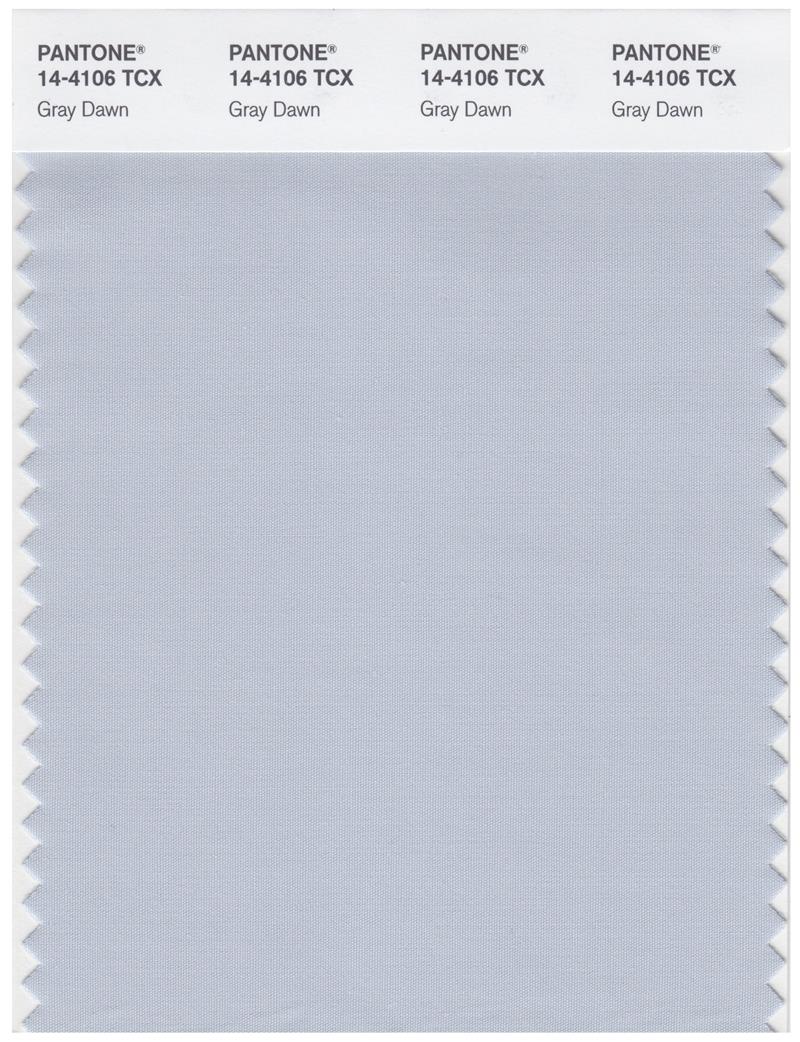 Pantone Smart 14-4106 TCX Color Swatch Card | Gray Dawn 